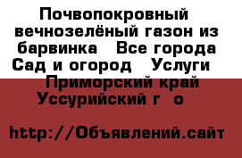 Почвопокровный, вечнозелёный газон из барвинка - Все города Сад и огород » Услуги   . Приморский край,Уссурийский г. о. 